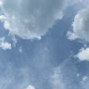 Meet your Posher, Avacake